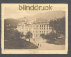 Sinaia sw-Klapp-Karte Palace Hotel Feldpost 1917 (a2233)