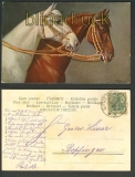 zwei Pferde farb-AK Knsterkarte Serie 588 1906 (d4035)
